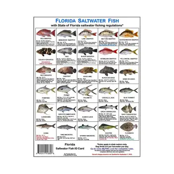 Магнитная рыболовная идентификационная карта Магнитные цветные фотографии видов рыб для вод Флориды Морская рыба Флориды